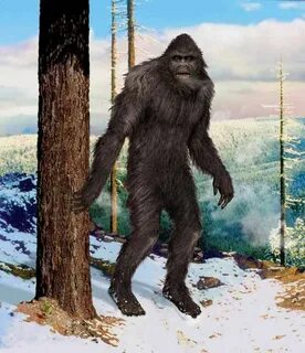 Bigfoot