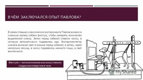 В чем заключался опыт
