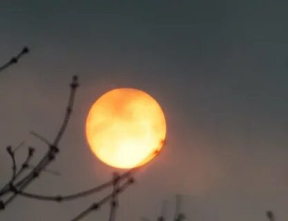 Неясное солнце