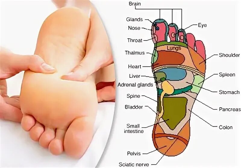 Карта в стопе метро. Точечный массаж стоп для детей. Массаж стоп описание. Рефлексотерапия стоп. Рефлекторные точки на стопе у младенцев.