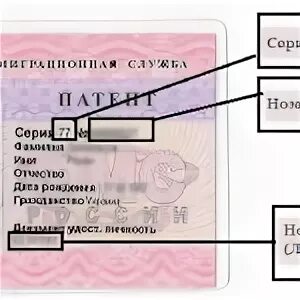 Как узнать срок действия патента иностранного гражданина