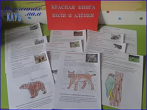 Красная книга своими руками 2 класс окружающий