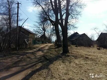 Замогилье
