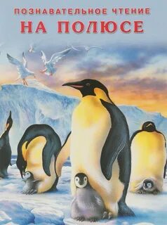 Северный полюс книги