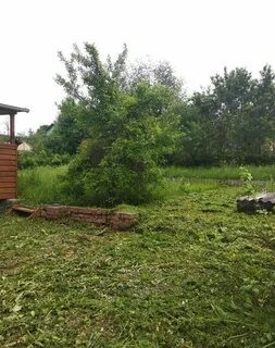 Снт росинка