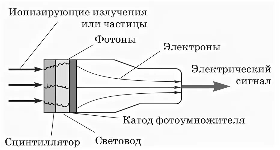 Обнаружения и измерения ионизирующих излучений. Детектор ионизирующих излучений на схеме. сцинтилляционный детектор схема. детекторы ионизирующего излучения сцинтилляторы. схема сцинтилляционного дозиметра.