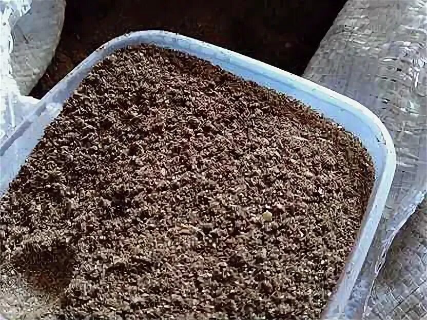 Костная мука. Кормовая мука. Фуражная мука. Кормовой мука происхождение. Комовая известь.