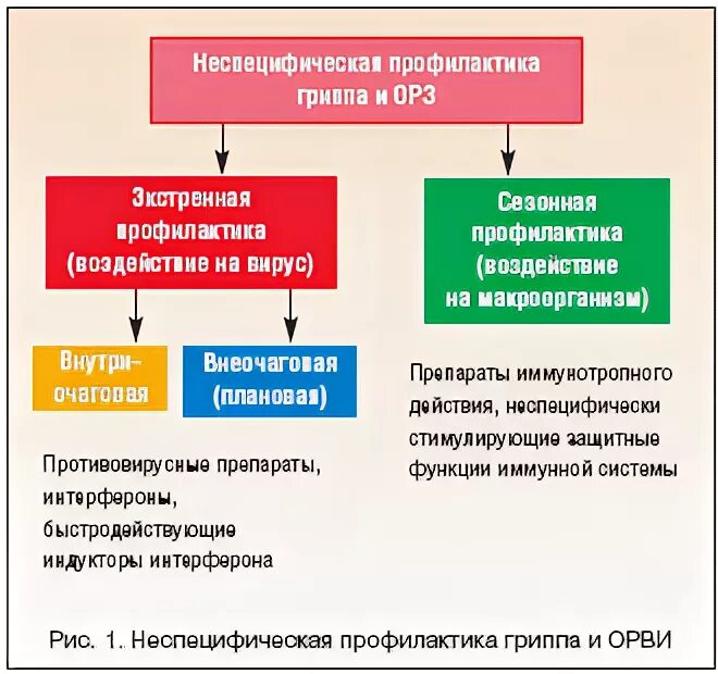 Неспецифическая профилактика гриппа. Неспецифическая профилактика ОРВИ. Специфическая и неспецифическая профилактика. Профилактика вирусных инфекций специфическая и неспецифическая.