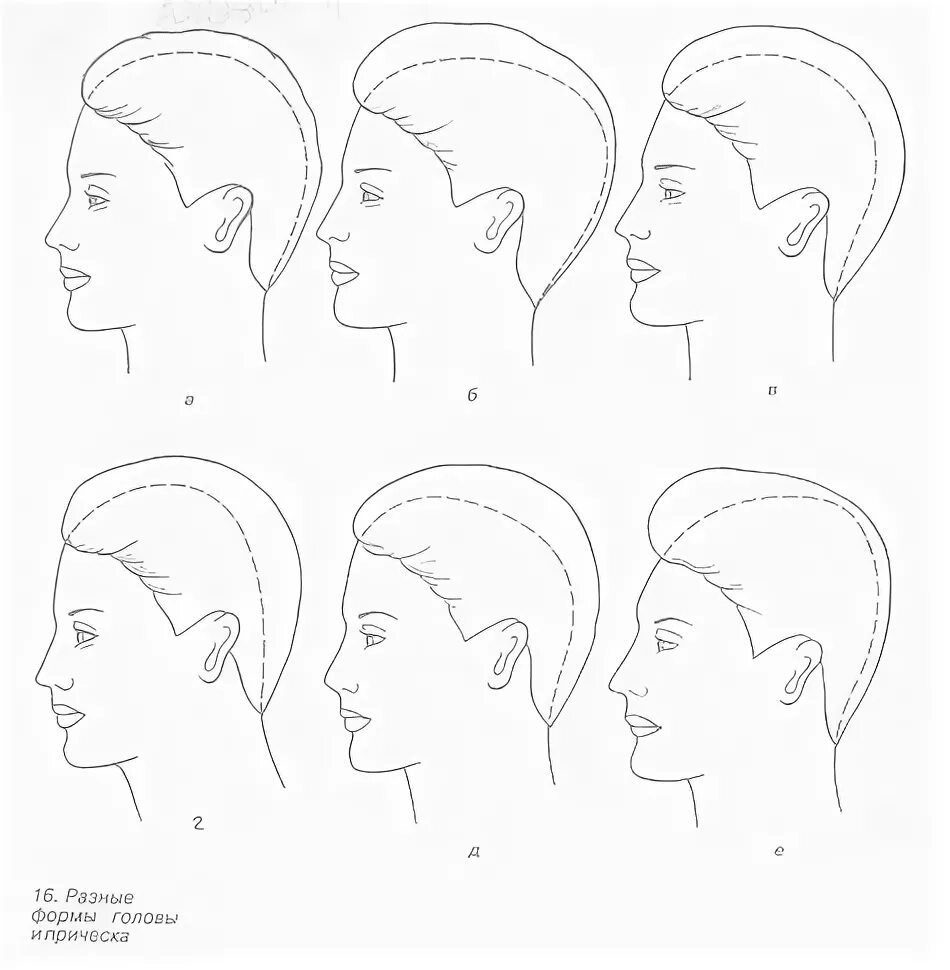 особенности форм головы