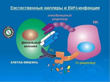Люди иммунные к вич