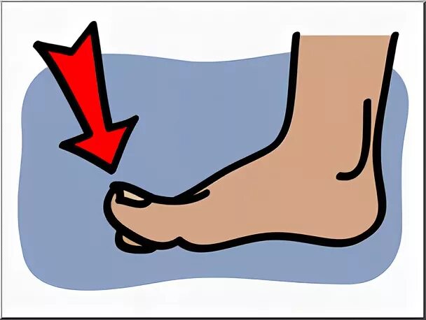 Toes мультяшная. Toes карточка на английском. Toes на английском языке. Toes flashcard. Зарядка head shoulders knees and toes.