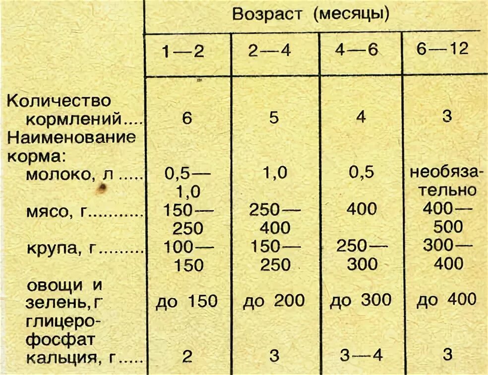 Сколько раз кормить щенка в 1 месяц. Рацион кормления щенка 2 месячного возраста. Нормы кормления щенков 2 мес немецкой овчарки. Как кормить 4 месячного щенка. Рацион кормления щенка пуделя 6 месяцев.