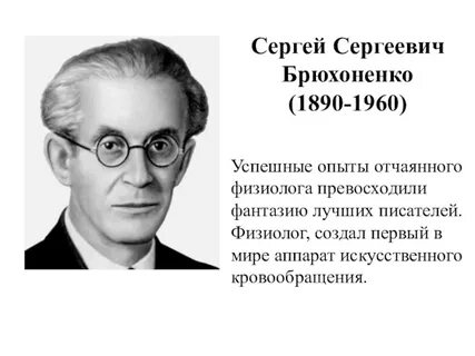 Брюхоненко