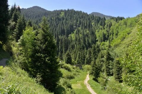 Алмарасан