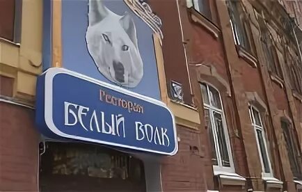 Бар белый волк спб