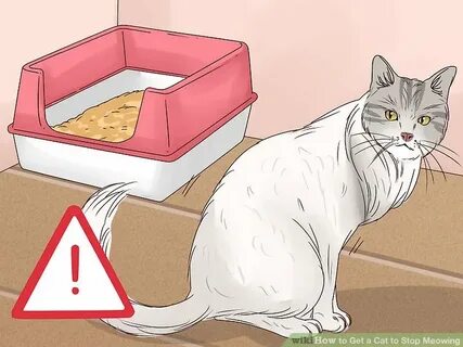Cat stop