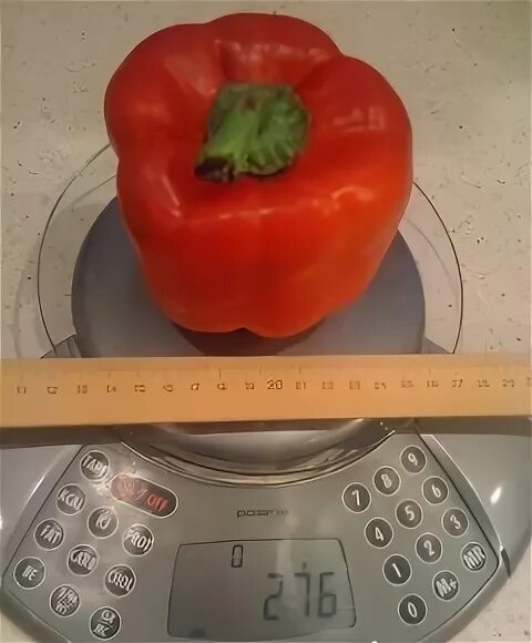 перец фаршированный вес 1 шт.