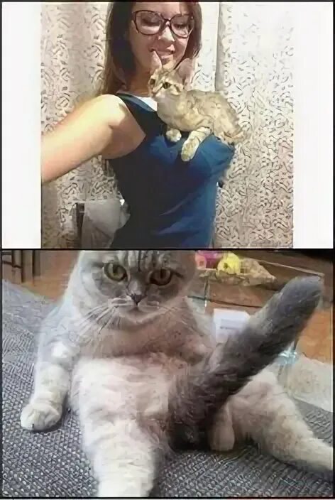 #kekas
