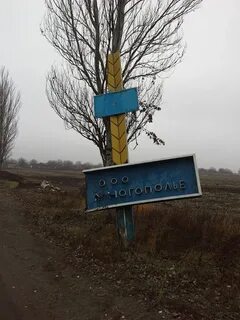 Крынки херсонская область
