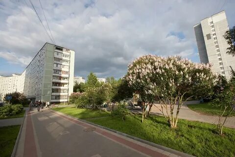 Сиреневый бульвар троицк