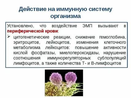 Воздействие организмов на систему