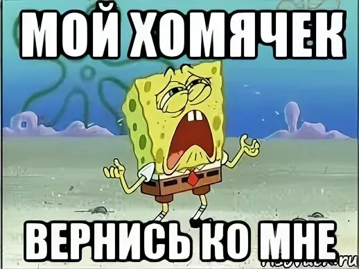 А ты вернись ко мне скорей песня. А ты вернись ко мне скорей песня