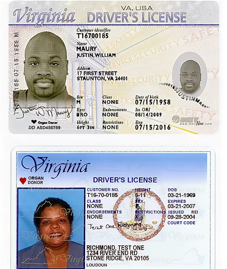 T license. Virginia Driver License. West Virginia Driver License. Virginia Driver License back.