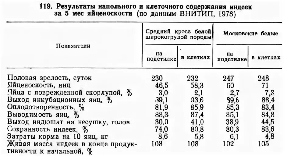 Температура в брудере для индюшат. Норма размещения индюков. Норма содержания индюков на 1 кв.м. Нормы площади для содержания индюков. Плотность посадок индеек.