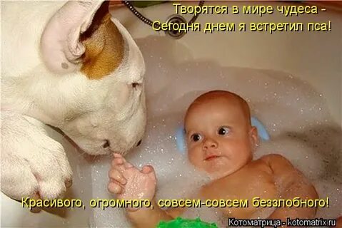 Ни клади