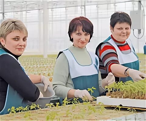 Липецкая область работа свежие вакансии