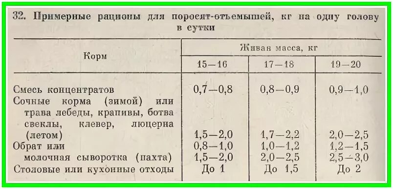 Можно ли месячным поросятам давать. Суточный рацион питания для откорма поросят таблица. Рацион поросят отъемышей. Рацион питания 1.5 месячного поросенка. Норма зерна на 1 поросенка.