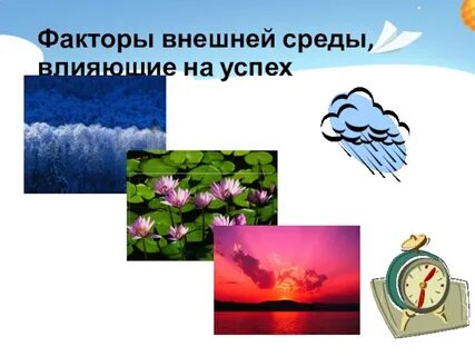 Среды влияния на проект