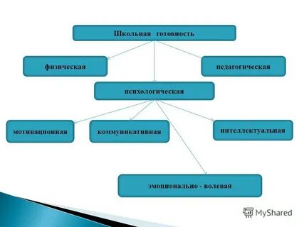 Интеллектуально волевое состояние