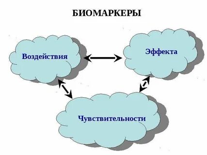 Чувствительное воздействие