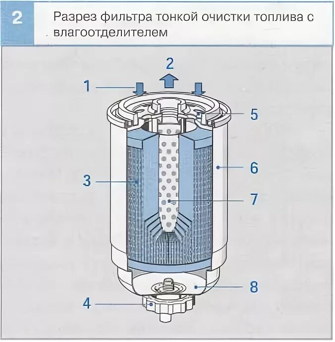 Фильтр грубой очистки топлива с влагоотделителем. Фильтрующий элемент для фильтра тонкой очистки топлива 2тф6. Фильтр влагоотделитель в разрезе. Дизельный топливный фильтр в разрезе. Фильтр тонкой воздушной очистки