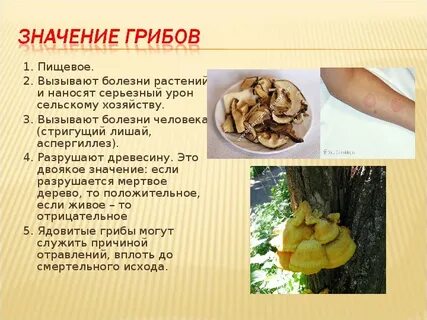 Грибное заболевание