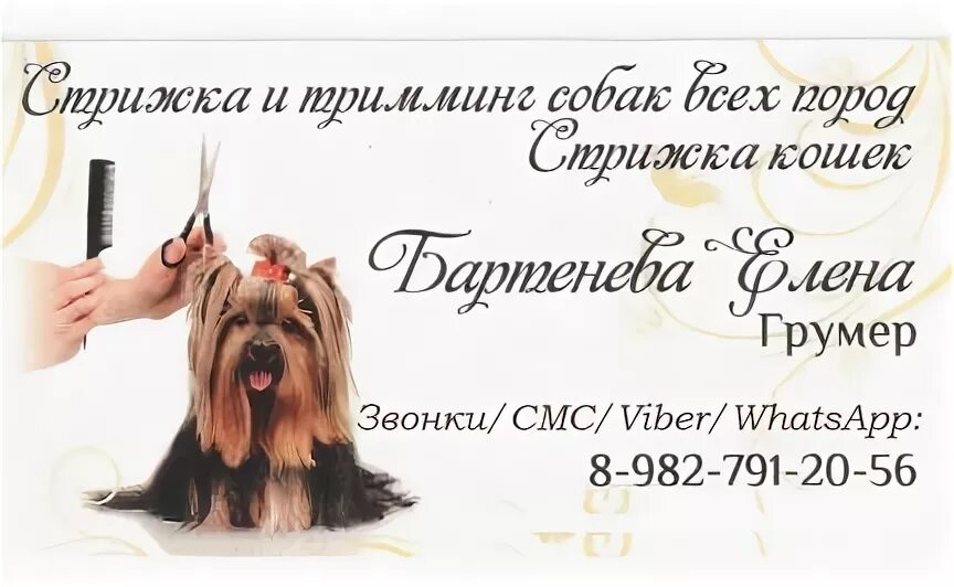Грумер ижевск. Грумер ижевск