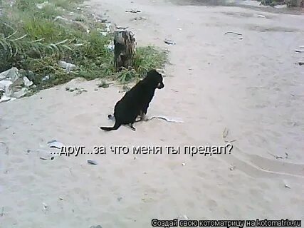 Ты предатель угар в lp