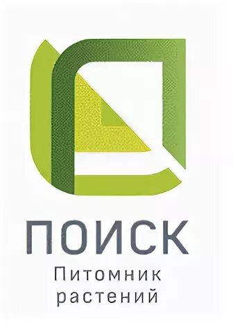 Кампания поиск