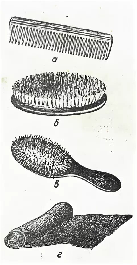 Предметы для ухода за животными живого уголка 1. Инструменты для ухода за животными живого уголка. Предметы для ухода за животными живого уголка. Инструменты для ухода за животными живого уголка. Предметы ухода за кошкой.