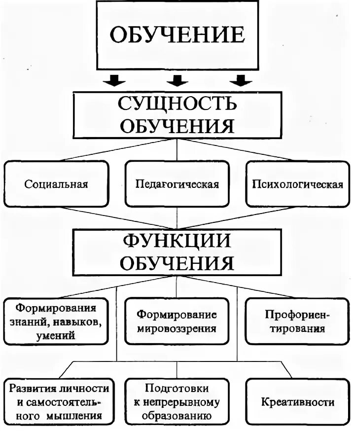 Сущность функции образования. Сущность процесса обучения схема. Сущность процесса обучения в педагогике схема. Психология обучения структура. Сущность обучения в педагогике.