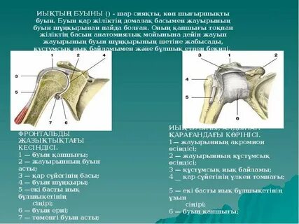 Гей казармасындағы жасырын камера