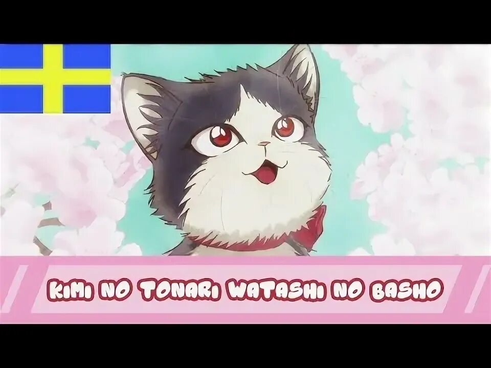 Subtitle cat. Doukyonin WA hiza, Tokidoki, atama no UE картинки. My roommate is a Cat.