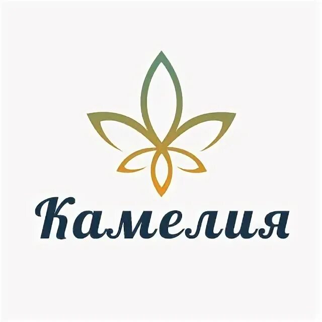 Камелия тверь проезд швейников