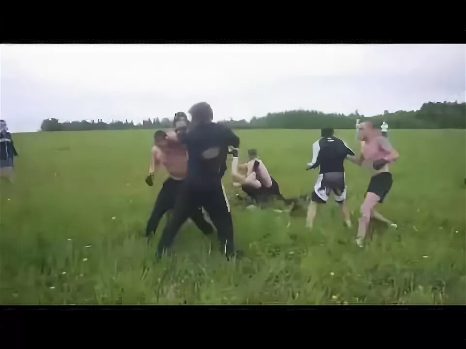 Ярославка правит миром цска. Ярославка златоуст. Маугли фанат цска. Ярославка цска лидеры. Ярославка златоуст.