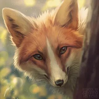Fox лис