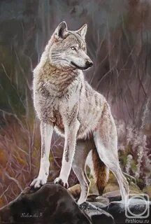Stand wolf