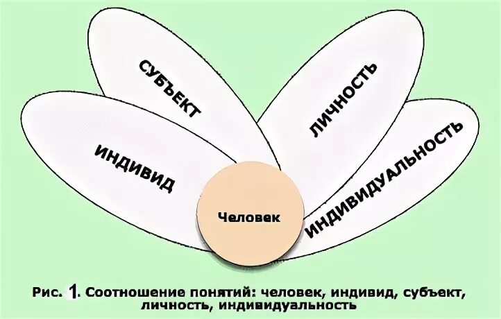 Соотношение понятий индивид субъект личность индивидуальность. Индивид личность индивидуальность в психологии. Соотношение понятий индивид личность индивидуальность. Индивид индивидуальность личность схема. Соотношение человек индивид личность индивидуальность.