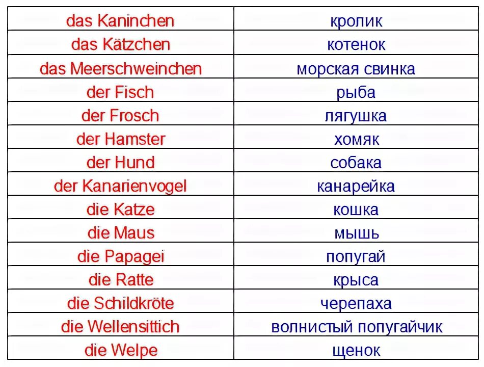 Немецкий язык 2 класс слова. Животные на немецком языке с переводом. Названия животных по немецки с переводом. Животные по немецкому языку с переводом. Слова животные на немецком.