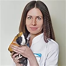 Ветклиника созвездие ярославль
